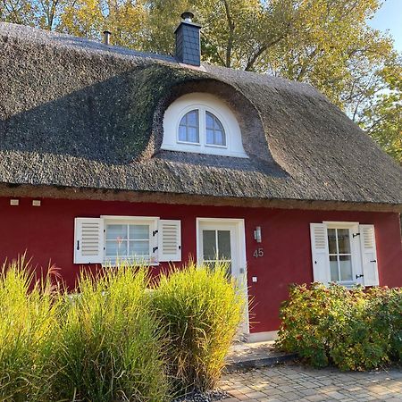 Ferienhaus Stella Glowe Zewnętrze zdjęcie